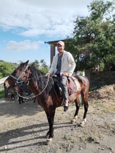 a man riding a horse on a dirt road at Sentyab Obi chashma guest house in Tadzhimi