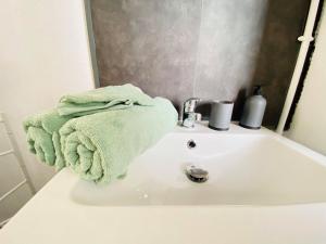 a bathroom sink with a green towel on it at Rez-de-chaussée Saint Marcel jardin partagé in Laon +10 photos