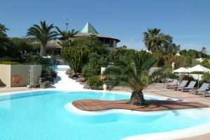 una piscina con una palmera en el medio en Hotel LIVVO Risco del Gato Suites en Costa Calma