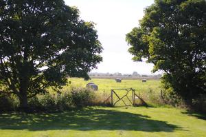 a gate in a field with two sheep in the distance at Manor Farm Stay in Sutton on Sea