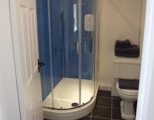 a bathroom with a shower and a toilet at Manor Farm Stay in Sutton on Sea