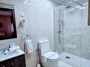 a bathroom with a shower and a toilet and a sink at Hotel Velis in Vélez-Málaga +21 photos