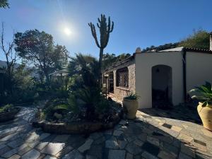 a house with a palm tree in a courtyard at Solanas, Casa Cacteae, villa 5 min to the beach in Solanas
