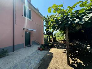 a pink building with a tree next to a door at Ca' dii Bürsa 2 - HOMY 5 TERRE in Volastra