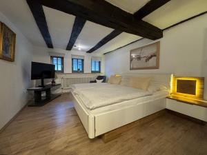 a bedroom with a bed and a television in it at Ferienhaus Zum Amthof in Alsfeld