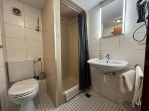 a bathroom with a toilet and a sink at Ferienhaus Zum Amthof in Alsfeld