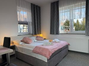 a bedroom with a large bed with two windows at Natalii in Kudowa-Zdrój