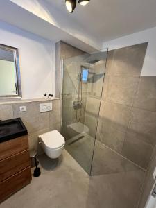 a bathroom with a shower and a toilet and a sink at Heimerzheim-Hills in Swisttal +19 photos