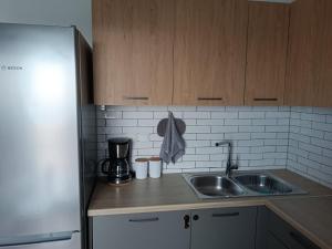 Η κουζίνα ή μικρή κουζίνα στο Penthouse suite center +6 φωτογραφίες