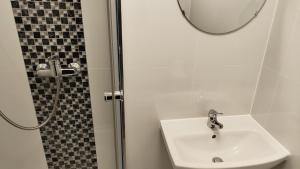 a bathroom with a sink and a shower with a mirror at Apartment for 2 guests in Geesthacht