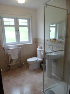 ein Badezimmer mit Toilette, Waschbecken und Dusche in der Unterkunft Laggan Hotel in Laggan + 30 Fotos