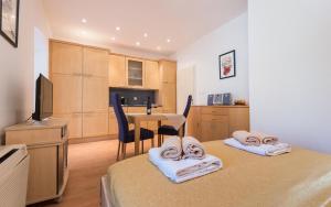 Kuchyň nebo kuchyňský kout v ubytování Studio apartman La Vitta