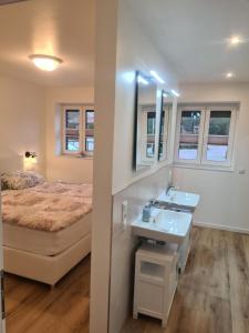 1 dormitorio con 1 cama y lavamanos. en Emily, en Geeste