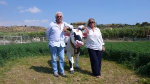 a man and a woman standing next to a cow at Tenuta Bartoli Maison de Charme in Mazzarino