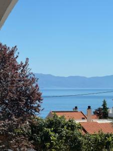 Příroda nedaleko prázdninového domu