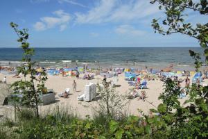 Plaża w domu wakacyjnym lub w pobliżu