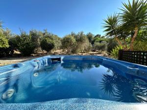 a blue swimming pool in a yard with trees at SeaTurtle Beach House in Paralimni
