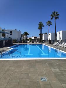a large swimming pool with chairs and palm trees at Luxury & Panorama Apartment in Costa de Adeje