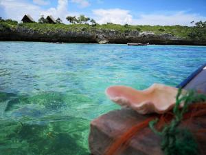 a shell is sitting on a rock in the water at Sea way in Kizimkazi