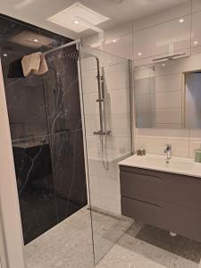 Un baño con ducha de cristal y lavabo. en Hotel Saint Vincent, en Poeldijk