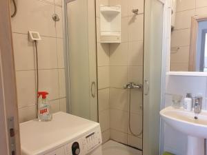 a small bathroom with a shower and a sink at Victor Apartments in Petrovac na Moru