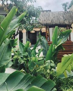 Jardin de l'établissement Haraja Boutique Resort