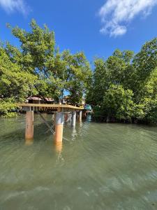 a bridge in the middle of a river with trees at Villa Libel'ulle in Le Robert