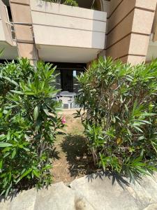 Zahrada ubytování Appartement Cannes, Piscine - Terrasse, Jardin Privatif - 4 Personnes