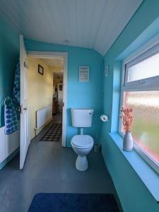 a bathroom with a toilet in a blue room at 2 Bedroom Cottage By Travel Lets Self Catering Accommodation Donegal With Sea View in Fanad +41 photos