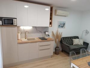 Kuchyňa alebo kuchynka v ubytovaní Apartment Antišin