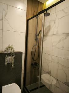 a bathroom with a glass shower with a toilet at FREE PARKING Old Town Central Station Apart with Balcony in Vilnius +12 photos