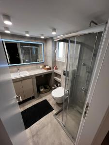a bathroom with a shower and a toilet and a sink at La Maison in Patra