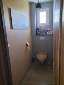 a bathroom with a toilet and a window at La Maison au bord de Saône in Pagny-la-Ville +15 photos