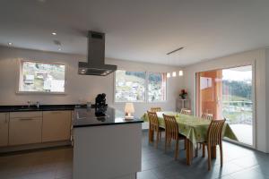 Kuhinja oz. manjša kuhinja v nastanitvi Apartment Elona