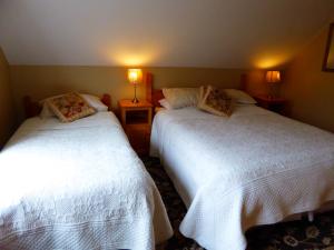 Voodi või voodid majutusasutuse Camillaun Lodge with Lough Corrib Boat Hire toas