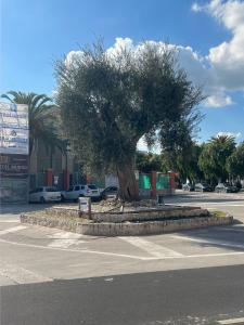 Fotografie z fotogalerie ubytování piazza Marconi Rooms v destinaci Manfredonia