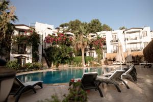 a hotel with a swimming pool with chairs and buildings at Mare Garden Hotel in Akyarlar
