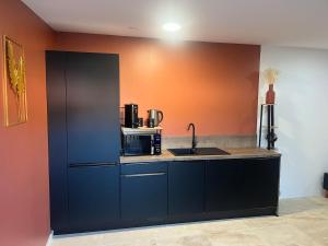 a kitchen with a sink and an orange wall at Le petit Mas in Nîmes
