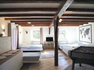 Μια τηλεόραση ή/και κέντρο ψυχαγωγίας στο Le Refuge "Domaine harmonieux" 30 min Europa-Park