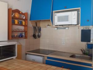 a kitchen with blue cabinets and a sink and a microwave at Studio avec balcon sud dans un écrin de verdure, Le Biot - FR-1-573-23 in Le Biot