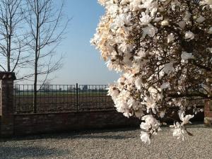 Zahrada ubytování B&B Cascina Baraggione