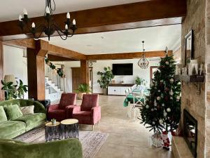 a living room with a christmas tree in it at EPIC HOUSE Valea Avrigului in Avrig