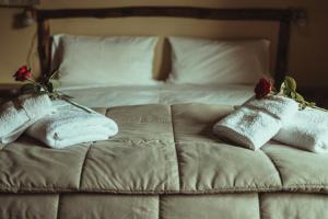 Fotografie z fotogalerie ubytování Hacienda ALTO MONTE v destinaci San Rafael