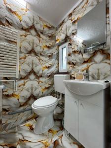 a bathroom with a white toilet and a sink at Belvedere La Cristina in Corbeni +93 photos