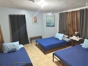 Voodi või voodid majutusasutuse Nappers Hostel toas