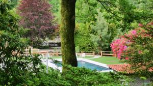 Zahrada ubytování Eco-Resort Parco Botanico Fiorlago