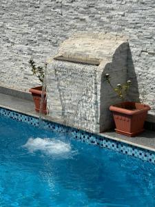 Una fuente de agua en una piscina con dos plantas en macetas. en Nile Spirit Sunrise, en Luxor