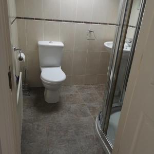 a bathroom with a toilet and a sink at Farmhouse at 93 in Portglenone +4 photos