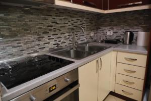 a kitchen with a sink and a stove at Apartment Rita Berat in Berat
