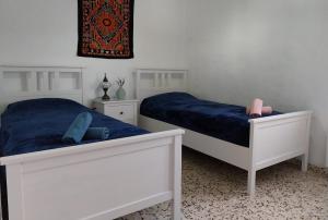 a bedroom with two beds with blue sheets and pink pillows at casa de lucas in Caniles +11 photos